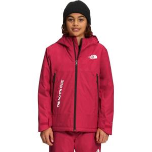 imageTHE NORTH FACE Freedom Insulated Jacket ToddlerTnf Red