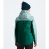 imageTHE NORTH FACE Girls Freedom Insulated Jacket Little Big KidEvergreen