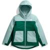 imageTHE NORTH FACE Girls Freedom Insulated Jacket Little Big KidEvergreen