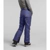 imageTHE NORTH FACE Girls Freedom Insulated PantCave Blue