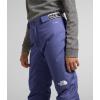 imageTHE NORTH FACE Girls Freedom Insulated PantCave Blue