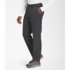 imageTHE NORTH FACE Mens Paramount Active Pant  PFAS FreeAsphalt Grey