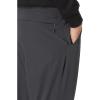 imageTHE NORTH FACE Mens Paramount Active Pant  PFAS FreeAsphalt Greynpf
