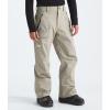 imageTHE NORTH FACE Mens Seymore PantClay Grey