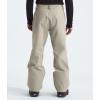 imageTHE NORTH FACE Mens Seymore PantClay Grey