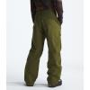 imageTHE NORTH FACE Mens Seymore PantForest Olive