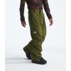 imageTHE NORTH FACE Mens Seymore PantForest Olive
