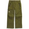 imageTHE NORTH FACE Mens Seymore PantForest Olive