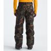 imageTHE NORTH FACE Mens Seymore PantTnf Black Tnf Camo Print