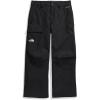 imageTHE NORTH FACE Mens Seymore PantTnf Blacknpf