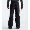 imageTHE NORTH FACE Mens Seymore PantTnf Blacknpf
