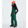 imageTHE NORTH FACE Teen Freedom Insulated BibEvergreen