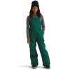 imageTHE NORTH FACE Teen Freedom Insulated BibEvergreen