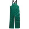 imageTHE NORTH FACE Teen Freedom Insulated BibEvergreen