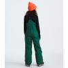 imageTHE NORTH FACE Teen Freedom Insulated BibEvergreen