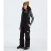 imageTHE NORTH FACE Teen Freedom Insulated BibTnf Black