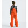 imageTHE NORTH FACE Teen Freedom Insulated BibTnf Orange
