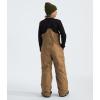 imageTHE NORTH FACE Teen Freedom Insulated BibUtility Brown