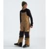 imageTHE NORTH FACE Teen Freedom Insulated BibUtility Brown