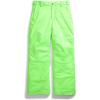 imageTHE NORTH FACE boys Freedom Insulated Pants Little KidBig KidSafety Green