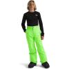imageTHE NORTH FACE boys Freedom Insulated Pants Little KidBig KidSafety Green