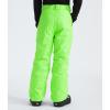 imageTHE NORTH FACE boys Freedom Insulated Pants Little KidBig KidSafety Green