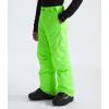 imageTHE NORTH FACE boys Freedom Insulated Pants Little KidBig KidSafety Green