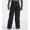imageTHE NORTH FACE boys Freedom Insulated Pants Little KidBig KidTnf Black