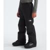 imageTHE NORTH FACE boys Freedom Insulated Pants Little KidBig KidTnf Black