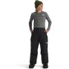 imageTHE NORTH FACE boys Freedom Insulated Pants Little KidBig KidTnf Black