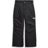 imageTHE NORTH FACE boys Freedom Insulated Pants Little KidBig KidTnf Black