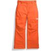 imageTHE NORTH FACE boys Freedom Insulated Pants Little KidBig KidTnf Orange
