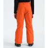 imageTHE NORTH FACE boys Freedom Insulated Pants Little KidBig KidTnf Orange