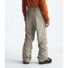 imageTHE NORTH FACE mens Freedom Stretch PantsClay Grey