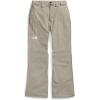 imageTHE NORTH FACE mens Freedom Stretch PantsClay Grey