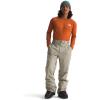 imageTHE NORTH FACE mens Freedom Stretch PantsClay Grey
