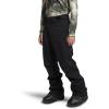 imageTHE NORTH FACE mens Freedom Stretch PantsTnf Blacknpf