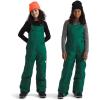 imageTHE NORTH FACE Teen Freedom Insulated BibEvergreen