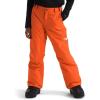 imageTHE NORTH FACE boys Freedom Insulated Pants Little KidBig KidTnf Orange