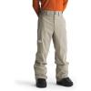 imageTHE NORTH FACE mens Freedom Stretch PantsClay Grey