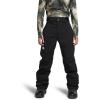 imageTHE NORTH FACE mens Freedom Stretch PantsTnf Blacknpf