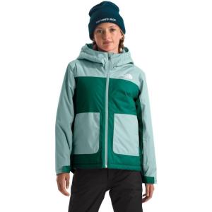imageTHE NORTH FACE Girls Freedom Insulated Jacket Little Big KidEvergreen