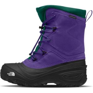 imageTHE NORTH FACE UnisexChild Alpenglow V Waterproof Youth Snow BootPeak PurpleEvergreen
