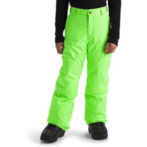 imageTHE NORTH FACE boys Freedom Insulated Pants Little KidBig KidSafety Green
