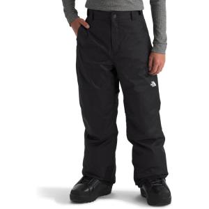 imageTHE NORTH FACE boys Freedom Insulated Pants Little KidBig KidTnf Black