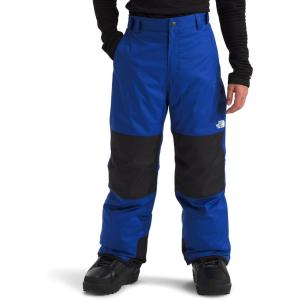 imageTHE NORTH FACE boys Freedom Insulated Pants Little KidBig KidTnf Blue