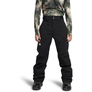 imageTHE NORTH FACE mens Freedom Stretch PantsTnf Blacknpf