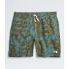 imageTHE NORTH FACE Mens Action Short 20Algae Blue Mountain Traverse Print
