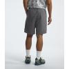 imageTHE NORTH FACE Mens Action Short 20Smoked Pearl