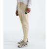 imageTHE NORTH FACE Mens Core JoggerGravelTnf Black
